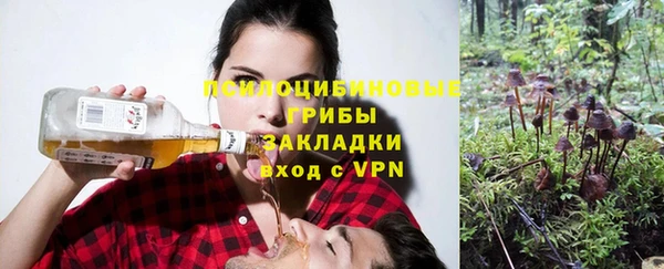 apvp Усолье-Сибирское