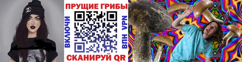 Галлюциногенные грибы Cubensis  Котельнич 